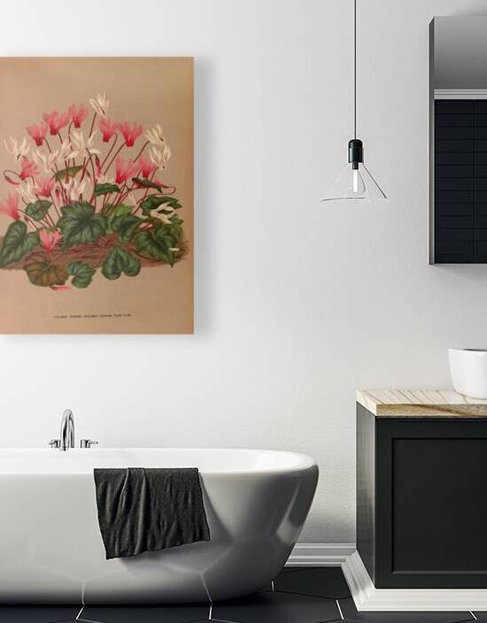 Album van Eeden : Haarlems flora : 1872-1881 by IStockHistory com