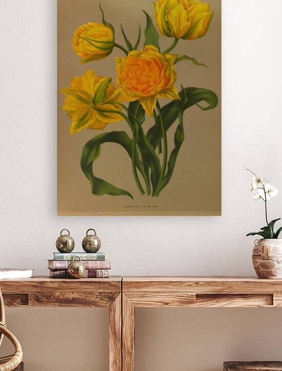 Album van Eeden : Haarlems flora : 1872-1881 by IStockHistory com