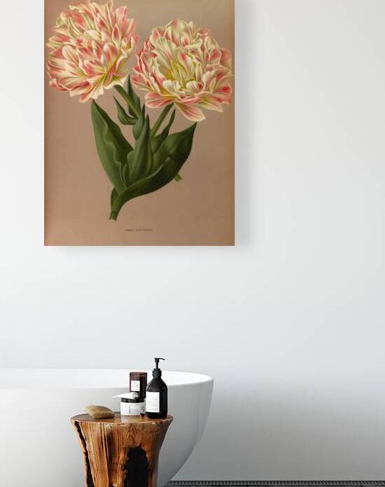 Album van Eeden : Haarlems flora : 1872-1881 by IStockHistory com