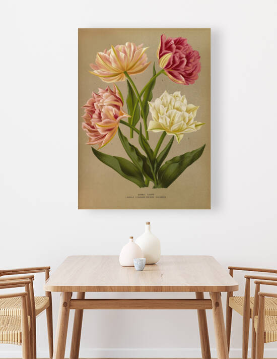 Album van Eeden : Haarlems flora : 1872-1881 by IStockHistory com