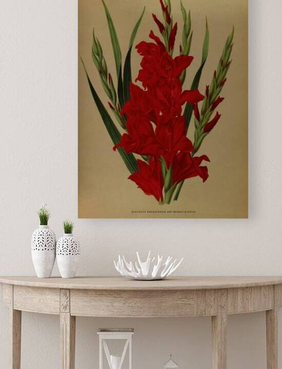 Album van Eeden : Haarlems flora : 1872-1881 by IStockHistory com