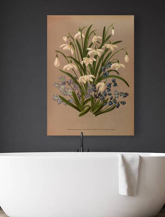 Album van Eeden : Haarlems flora : 1872-1881 by IStockHistory com