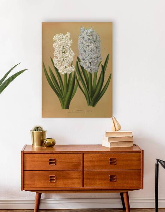 Album van Eeden : Haarlems flora : 1872-1881 by IStockHistory com