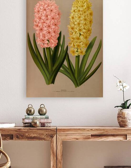 Album van Eeden : Haarlems flora : 1872-1881 by IStockHistory com