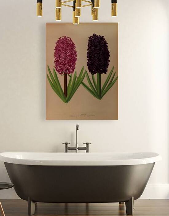 Album van Eeden : Haarlems flora : 1872-1881 by IStockHistory com