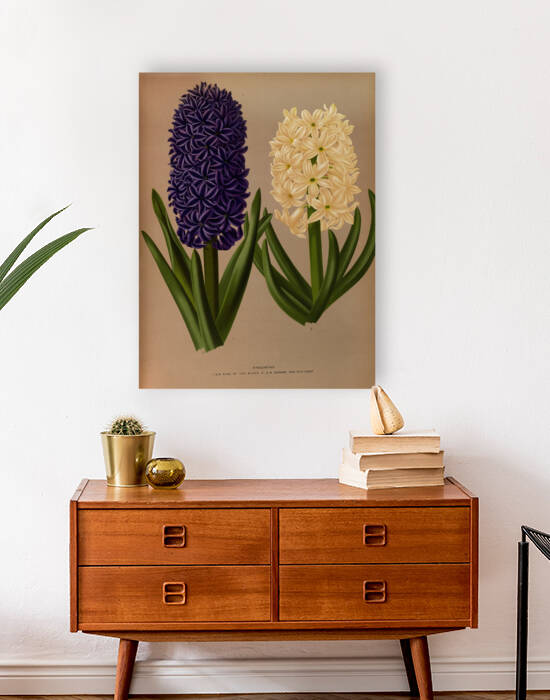 Album van Eeden : Haarlems flora : 1872-1881 by IStockHistory com