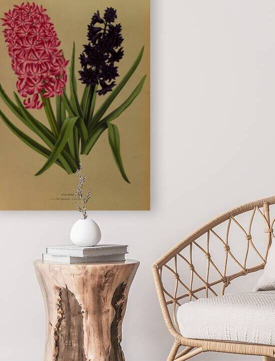 Album van Eeden : Haarlems flora : 1872-1881 by IStockHistory com