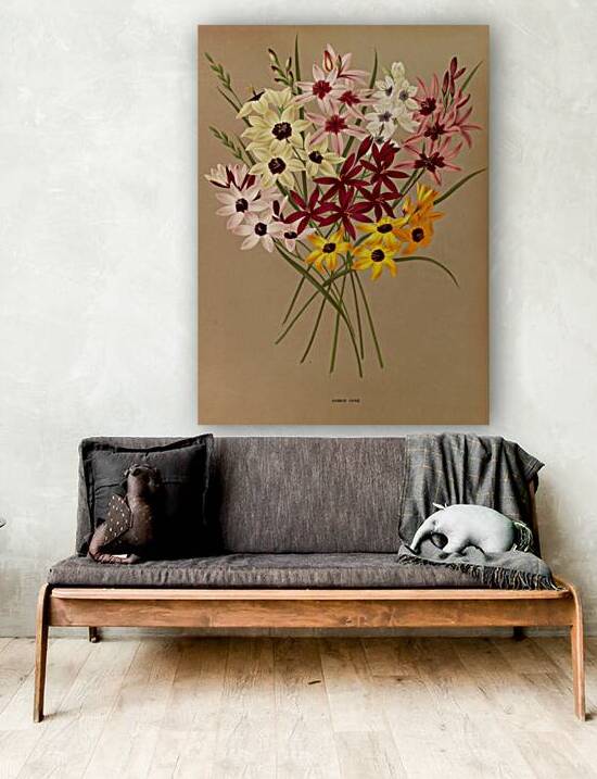 Album van Eeden : Haarlems flora : 1872-1881 by IStockHistory com