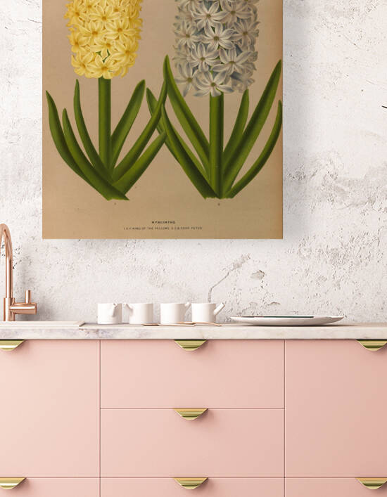 Album van Eeden : Haarlems flora : 1872-1881 by IStockHistory com