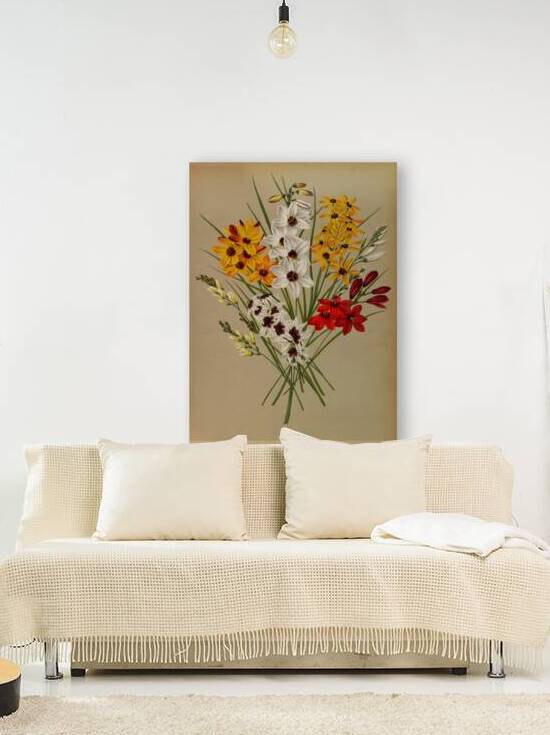 Album van Eeden : Haarlems flora : 1872-1881 by IStockHistory com