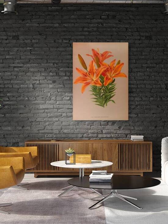 Album van Eeden : Haarlems flora : 1872-1881 by IStockHistory com