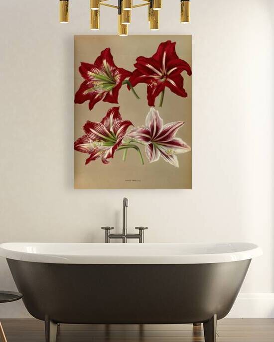 Album van Eeden : Haarlems flora : 1872-1881 by IStockHistory com