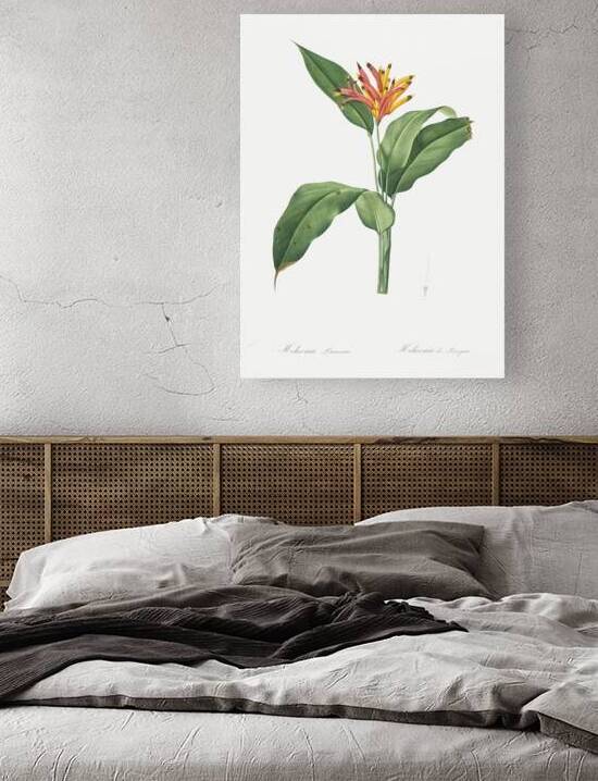 Lobster claws illustration  by IStockHistory com