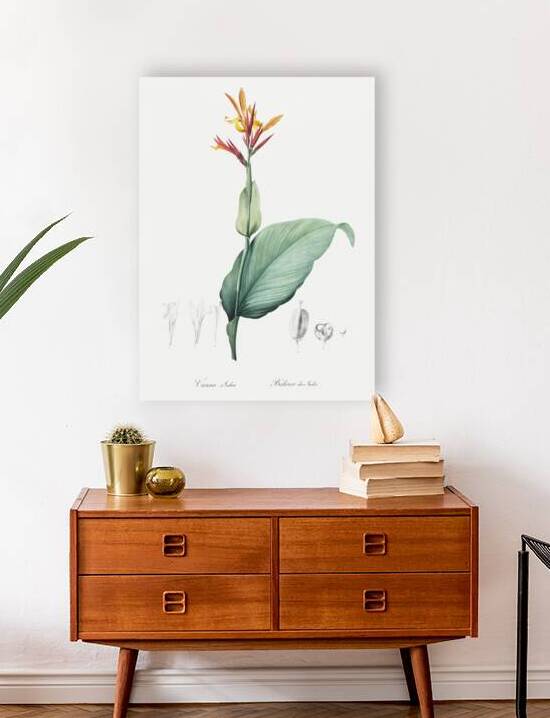 Indian shot illustration  by IStockHistory com