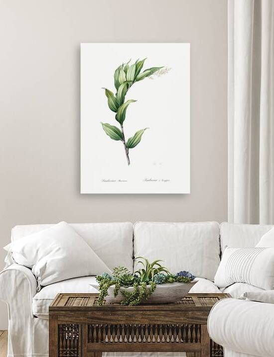 Treacleberry illustration  by IStockHistory com