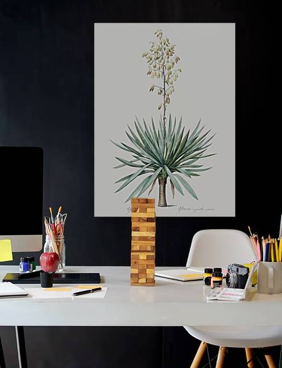 Adam needle illustration  by IStockHistory com