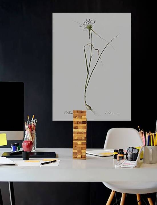 Keeled garlic illustration  by IStockHistory com