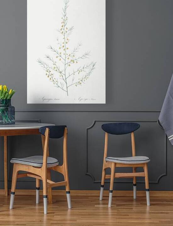 Sea asparagus illustration  by IStockHistory com