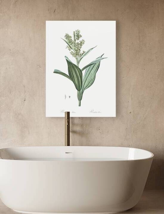 False helleborine illustration  by IStockHistory com