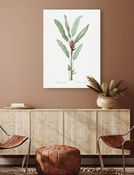 Broadleaf wild leek illustration  by IStockHistory com