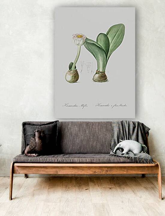 Paintbrush illustration  by IStockHistory com