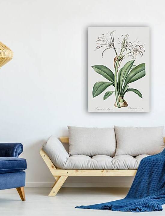 African flag illustration  by IStockHistory com