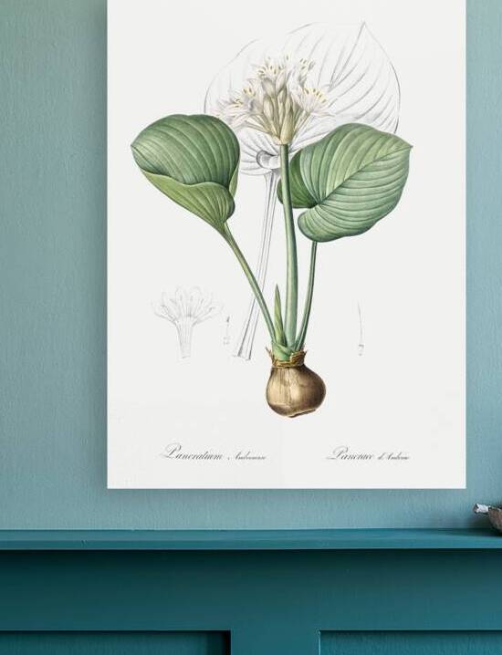 African flag illustration  by IStockHistory com