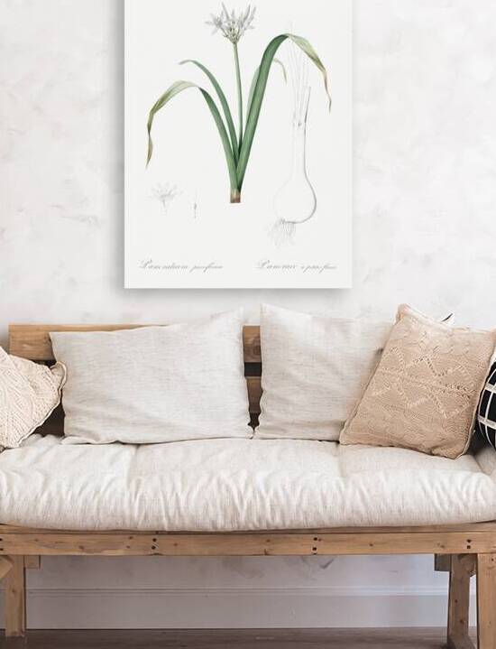 Poison bulb illustration  by IStockHistory com