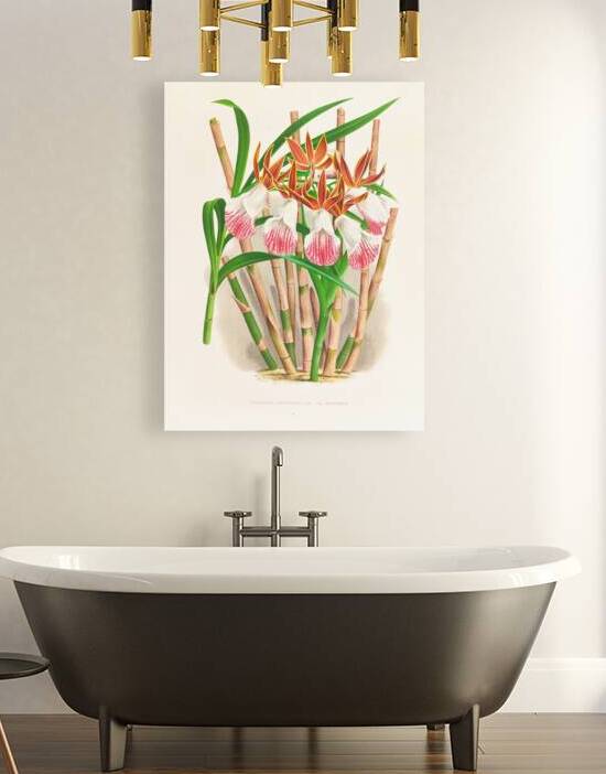 Galendra devoniana by IStockHistory com