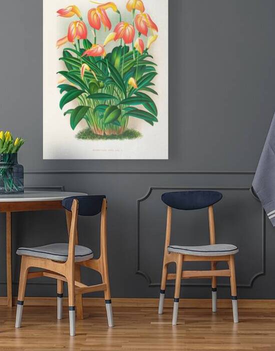 Masdevallia ignea by IStockHistory com