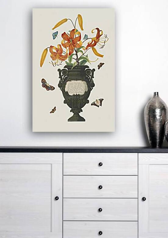 Lilium Tigrinum 1834 by IStockHistory com