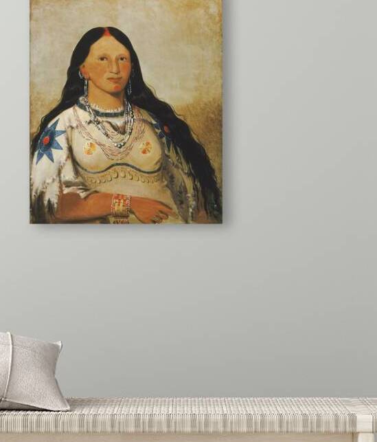 Mi-Néek-Ee-Súnk-Te-Ka Mink a Beautiful Girl 1832 by IStockHistory com