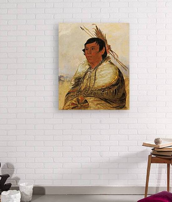 Ni-A-Có-Mo Fix With The Foot a Brave 1830 by IStockHistory com