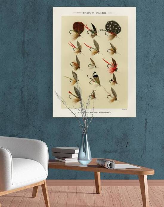 Trout Flies  by IStockHistory com