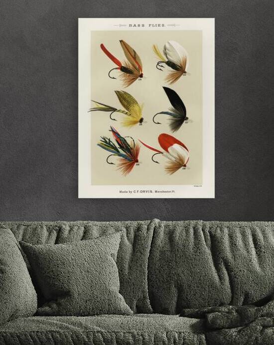 Bass Flies  by IStockHistory com