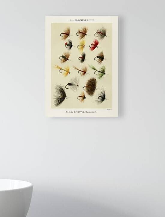 Hackles  by IStockHistory com