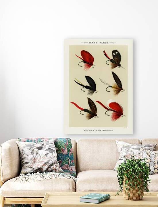 Bass Flies  by IStockHistory com