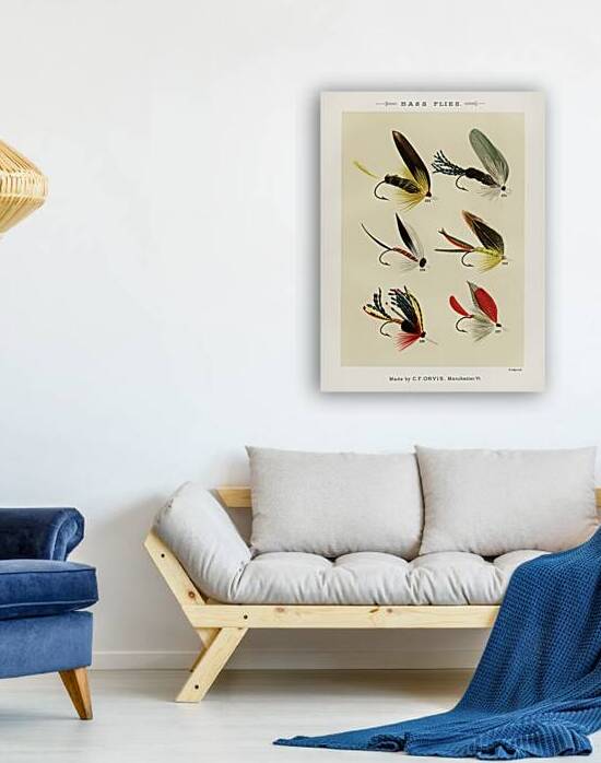 Bass Flies  by IStockHistory com