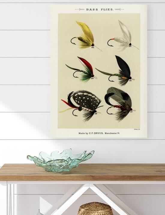 Bass Flies  by IStockHistory com