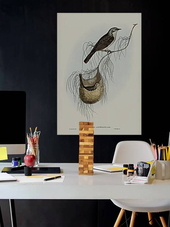 Lanceolate Honey-eater Plectorhyncha lanceolata illustrated by Elizabeth Gould 1804–1841 for John Gould’s 1804-1881 Birds of Australia  by IStockHistory com