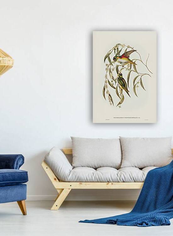 Little Whimbrel Numenius minutus illustrated by Elizabeth Gould 1804–1841 for John Gould’s 1804-1881 Birds of Australia  by IStockHistory com