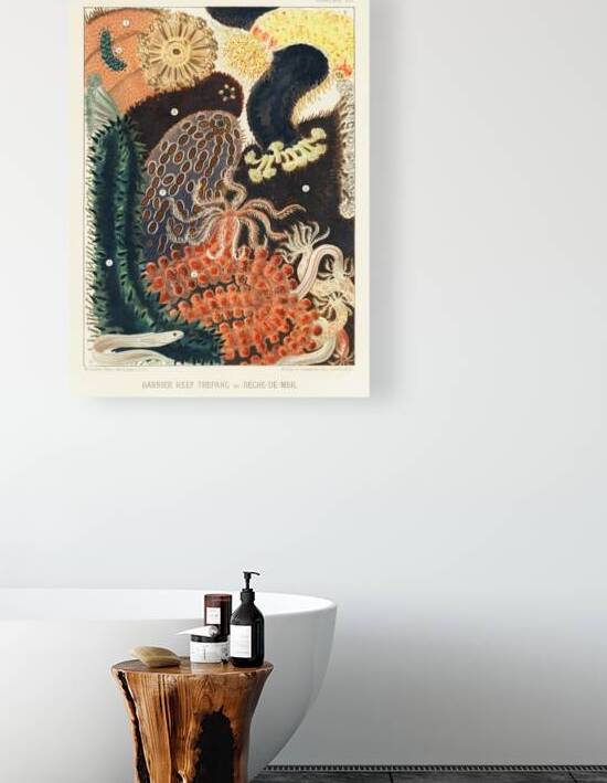 Barrier Reef Trepang or Bêche-de-Mer from The Great Barrier Reef of Australia 1893 by William Saville-Kent 1845-1908. Fig 1-2: Red fish Actinopyga obesaFig 3: Green Prickly-fish Stichopus ChloronotusFig 4: Colochirus AncepsFig 5: Holothurisa ColuberF by IStockHistory com