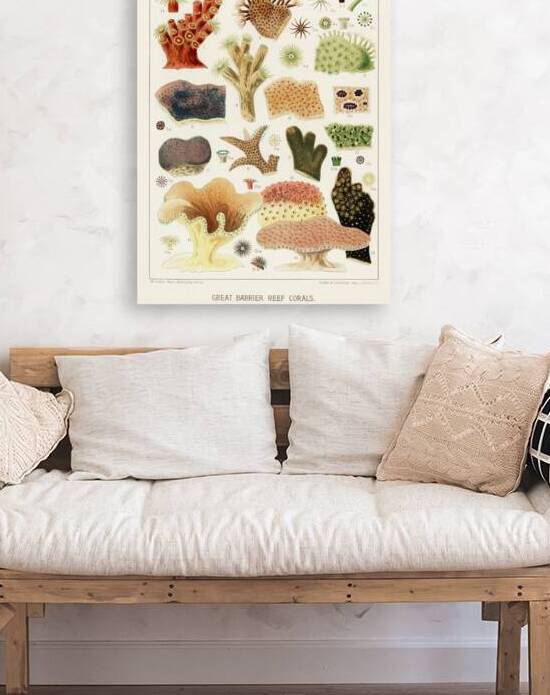 Great Barrier Reef Corals from The Great Barrier Reef of Australia 1893 by William Saville-Kent 1845-1908. Fig 1 : Dendrophyllai coccineaFig 2 : Alveopora ClavariaFig 3 : Alveopora ViridiaFig 4 : Dendrophyllia axifugeFig 5 : Montipora FoliosaFig 6 : by IStockHistory com