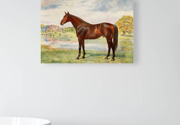 Persimmon by IStockHistory com