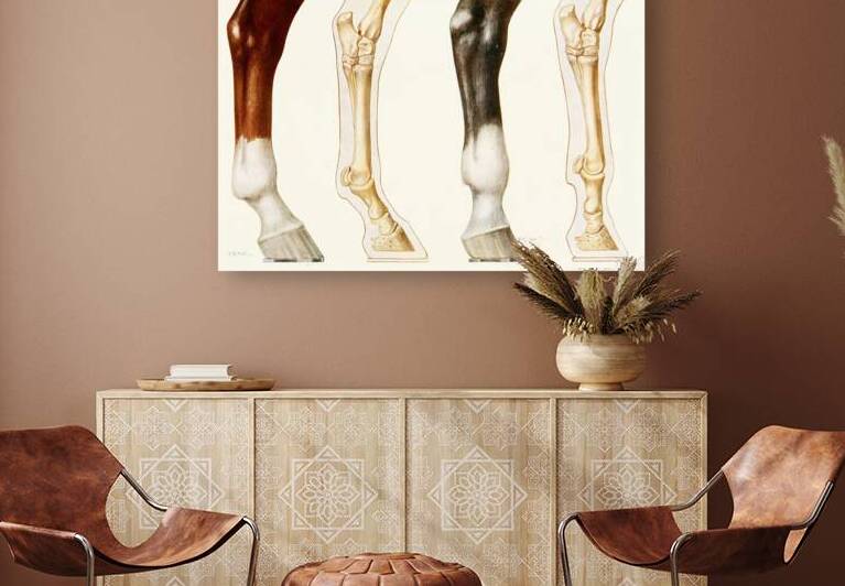 The Fetlock Normal And Overshot Amedeo John Engel Terzi Italian 1872-1956 by IStockHistory com