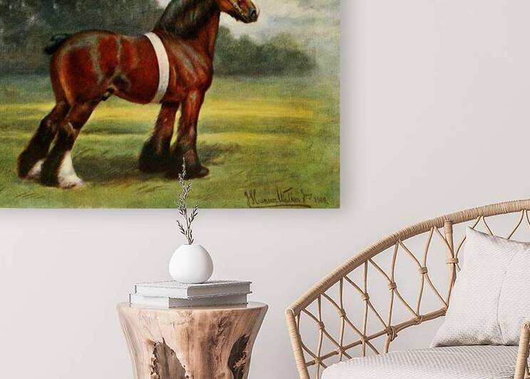 Shire Stallion Halstead Royal Duke John Hanson Walker Jr. English 1844-1933 by IStockHistory com