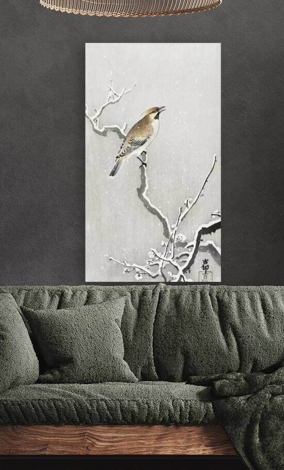 Bohemian bird on snowy branch 1900 - 1930 by Ohara Koson 1877-1945. by IStockHistory com