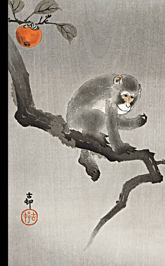 Monkey in cockatoo 1900 - 1930 by Ohara Koson 1877-1945. by IStockHistory com