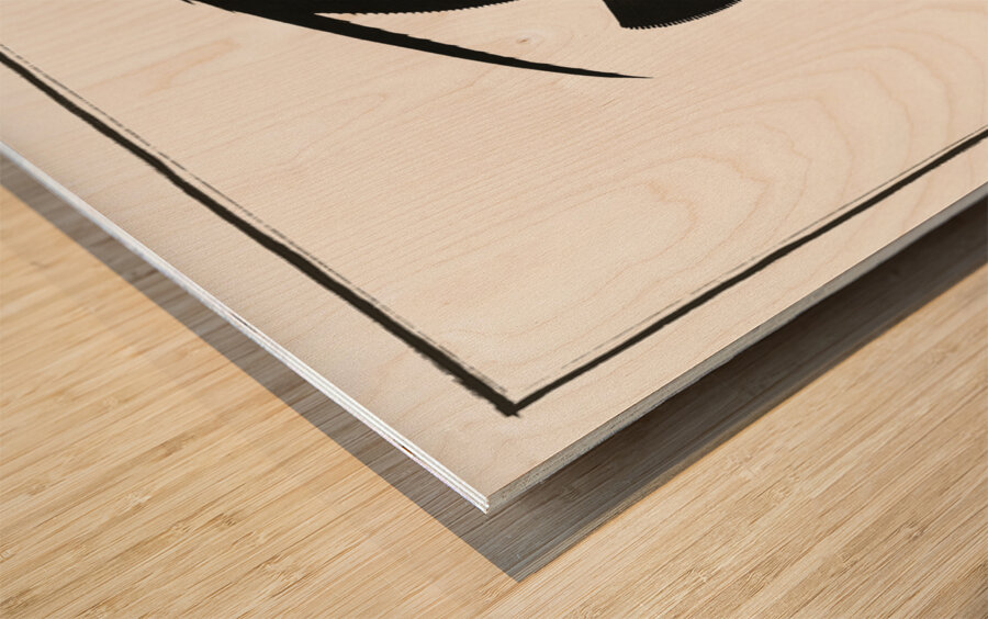 Variegated Angel-fish Chaetodon Paru Wood print