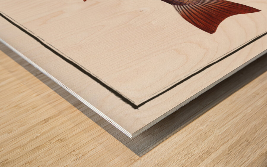 Tang Mugil Tang Wood print